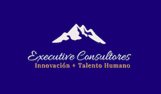 Executive Consultores